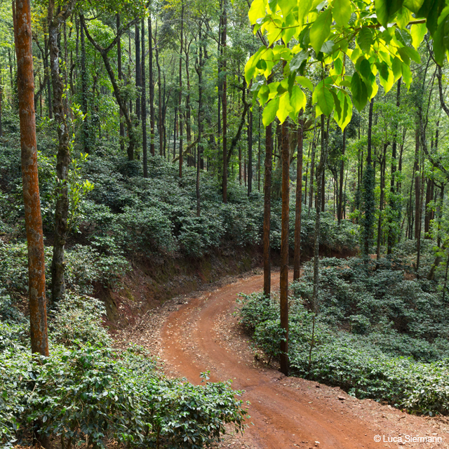 Farm Badra Estates