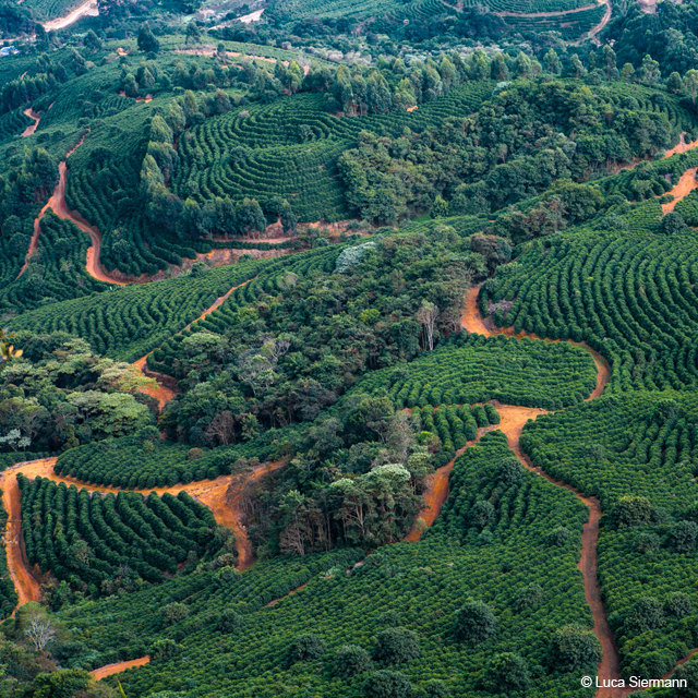 Farm Fazendas Dutra